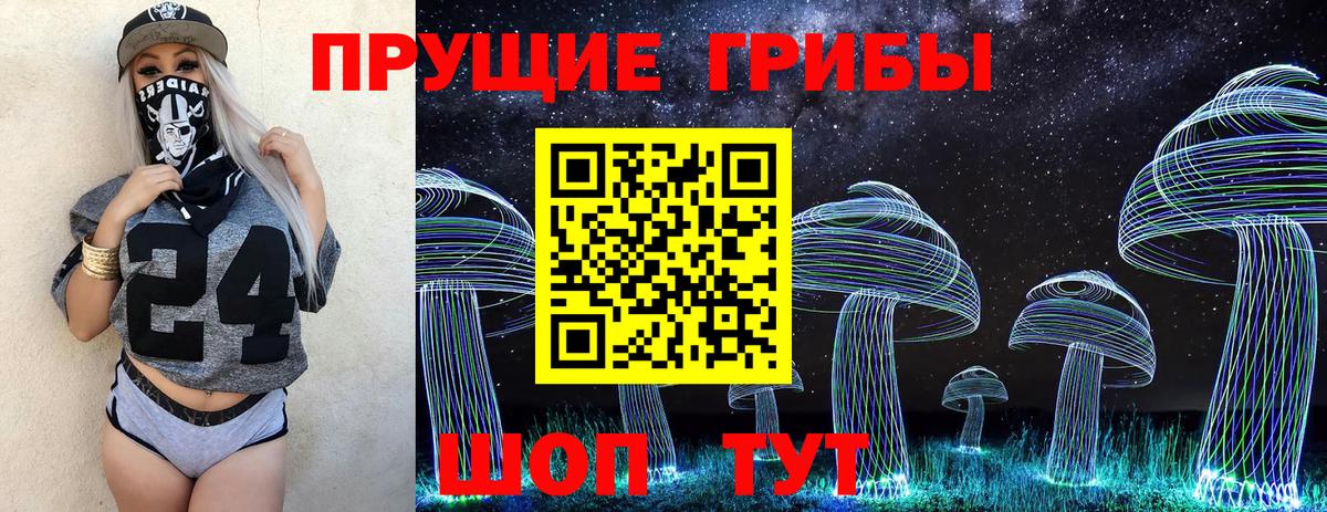 Галлюциногенные грибы Psilocybe Алексин