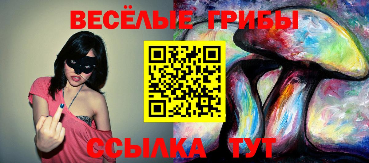 Псилоцибиновые грибы MAGIC MUSHROOMS Алексин