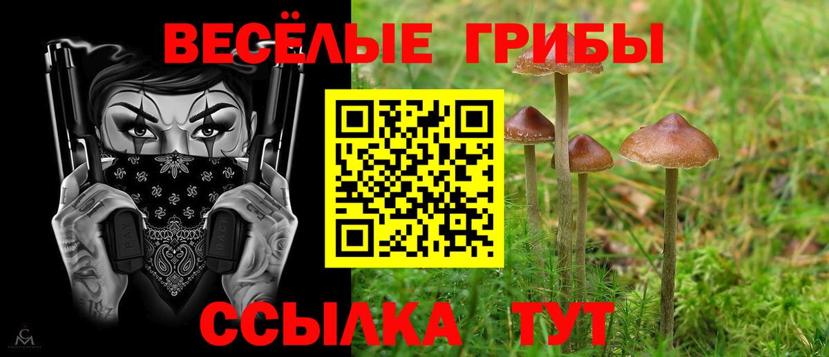 даркнет сайт  Псилоцибиновые грибы Cubensis  Алексин  Псилоцибиновые грибы MAGIC MUSHROOMS 