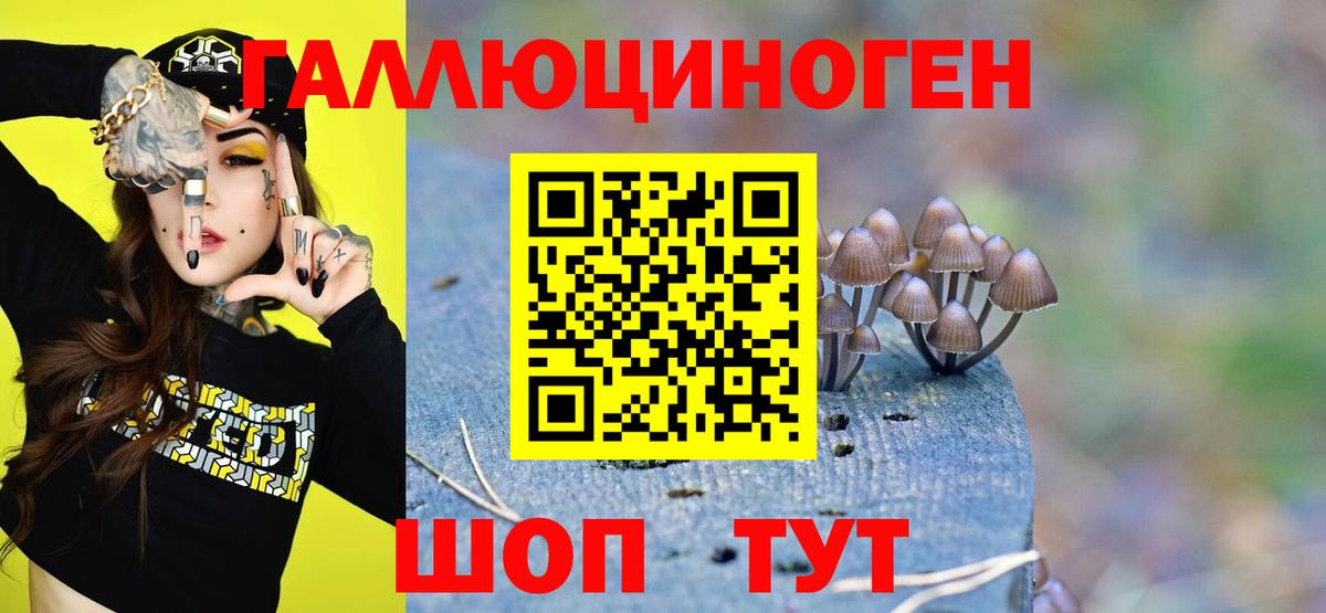 Алексин  Псилоцибиновые грибы Psilocybe  Вход с VPN 